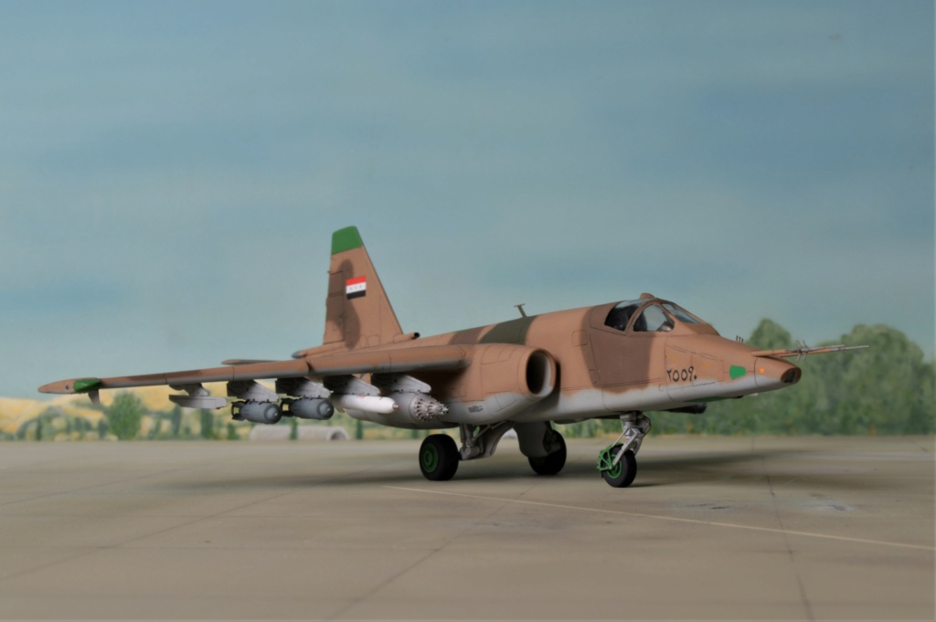 [Zvezda] 1/72 - Sukhoi Su-25K Frogfoot  Irak   - Page 2 Dsc_0372