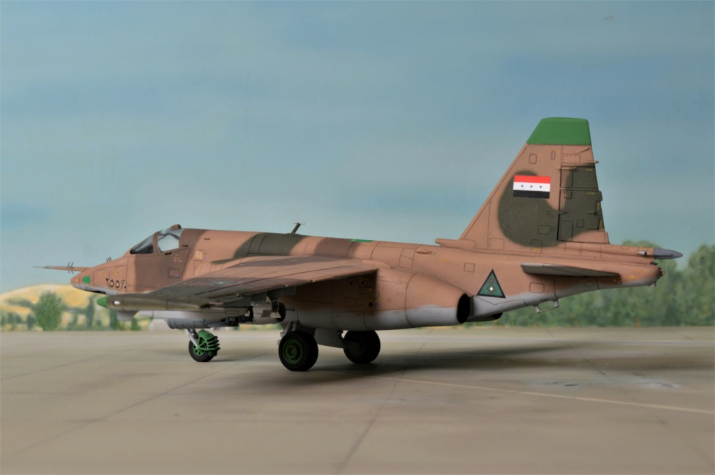 [Zvezda] 1/72 - Sukhoi Su-25K Frogfoot  Irak   - Page 2 Dsc_0373