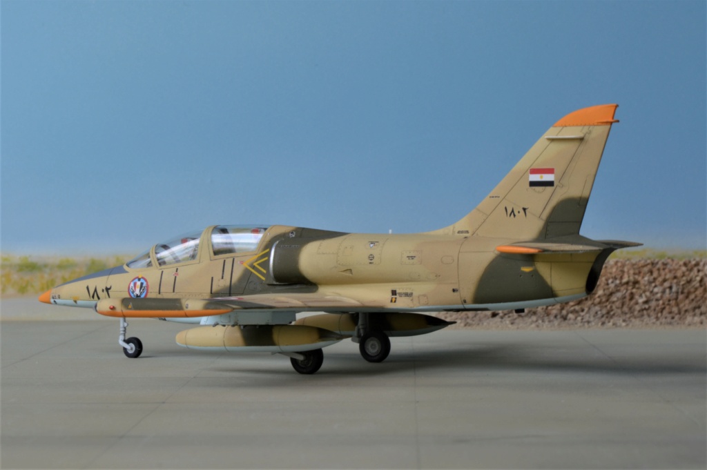 Aero  L39-C  Albatros  Egypt [Eduard] / Aero L-159 A Alca  Irak  [KP]  1/72 (al39) (al159) - Page 2 Dsc_0465