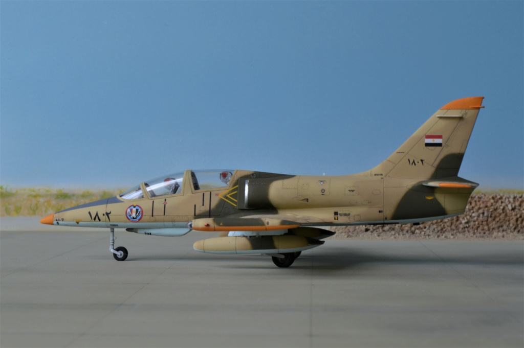 Aero  L39-C  Albatros  Egypt [Eduard] / Aero L-159 A Alca  Irak  [KP]  1/72 (al39) (al159) - Page 2 Dsc_0466