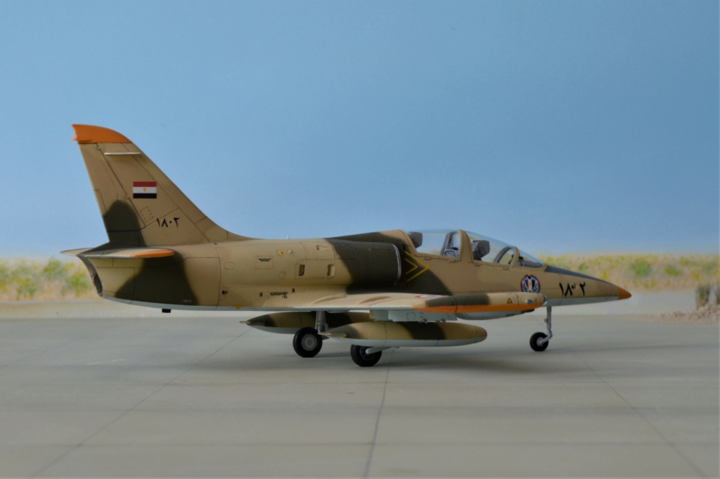  L-39 Albatros ,Egypte  (Eduard)  + L-159 ALCA, Irak (KP)  1/72 Dsc_0488