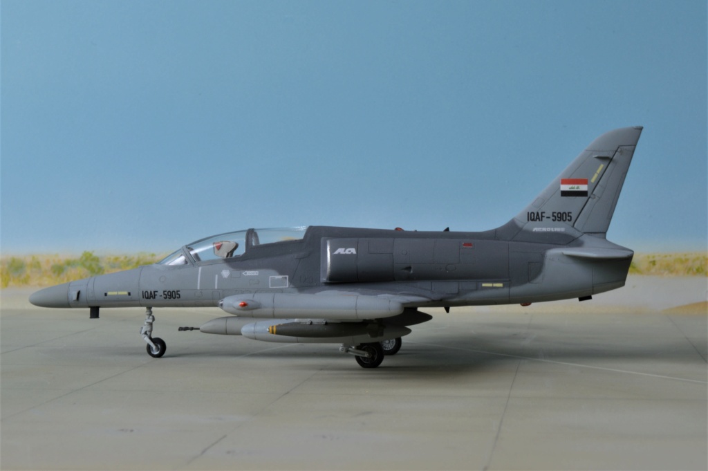  L-39 Albatros ,Egypte  (Eduard)  + L-159 ALCA, Irak (KP)  1/72 Dsc_0491