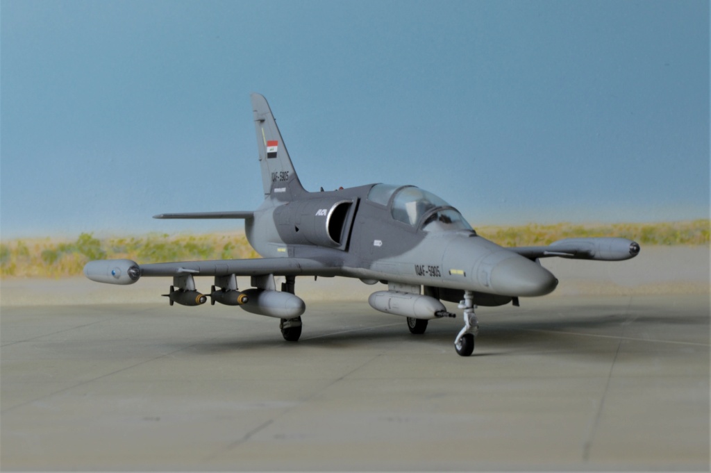  L-39 Albatros ,Egypte  (Eduard)  + L-159 ALCA, Irak (KP)  1/72 Dsc_0495