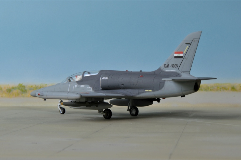  L-39 Albatros ,Egypte  (Eduard)  + L-159 ALCA, Irak (KP)  1/72 Dsc_0496