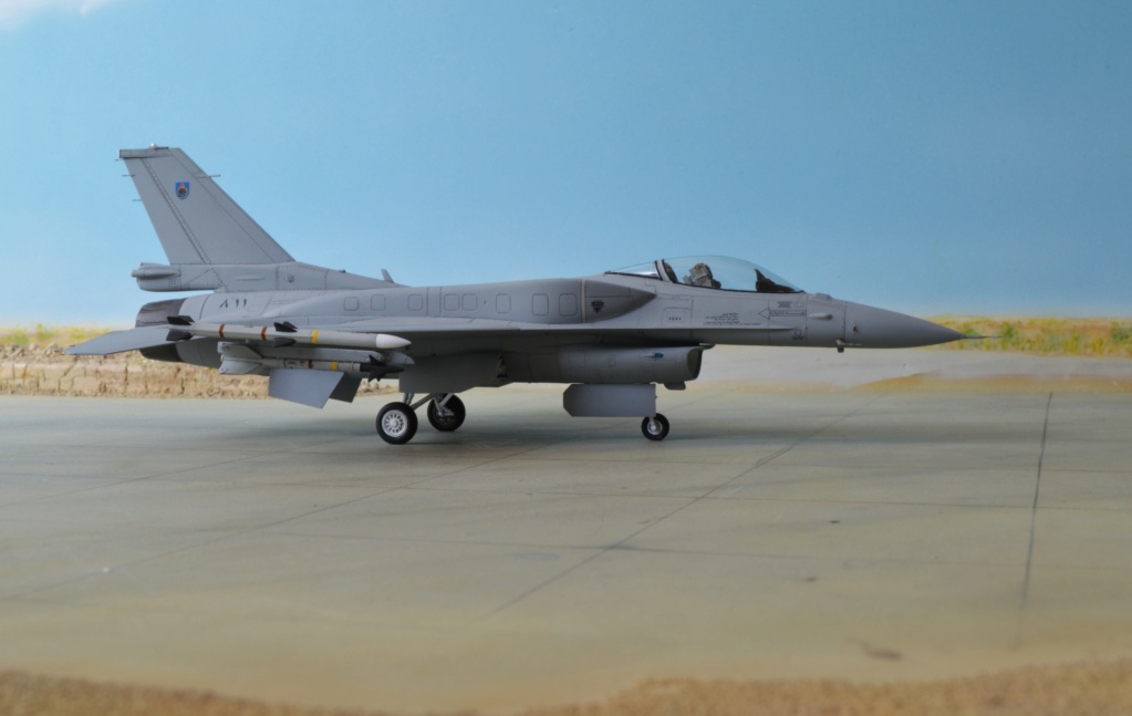 F16C Fighting Falcon Block 50  Sultanat d'Oman  [Tamiya] 1/72 Dsc_0582