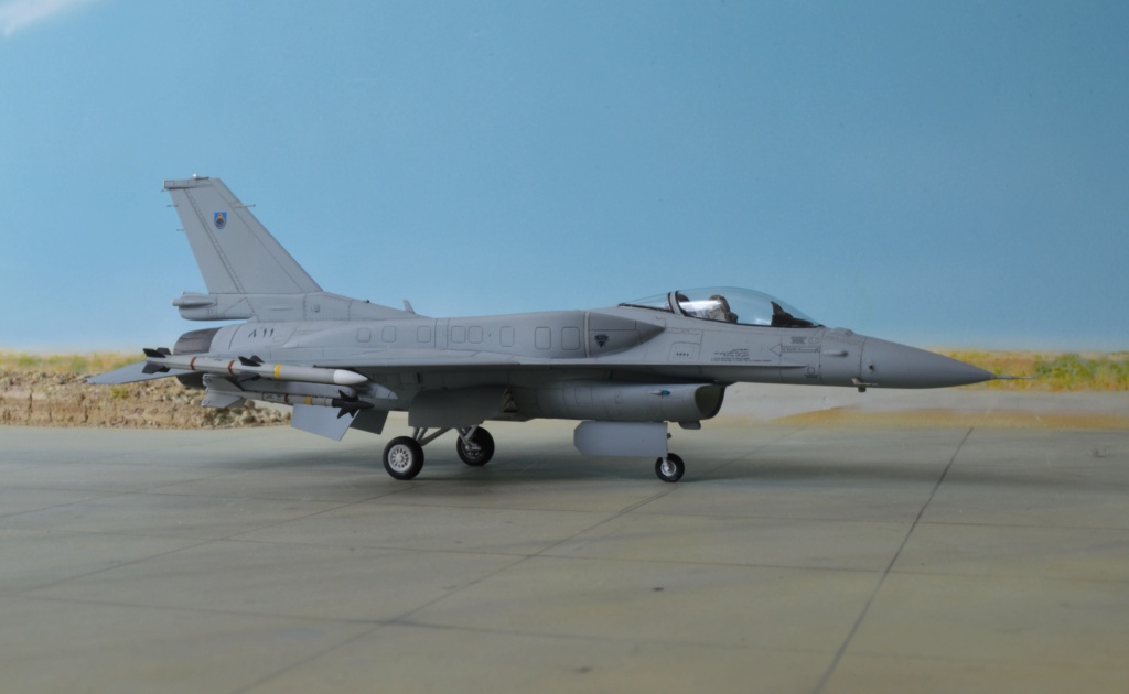 F16C Fighting Falcon Block 50  Sultanat d'Oman  [Tamiya] 1/72 Dsc_0588