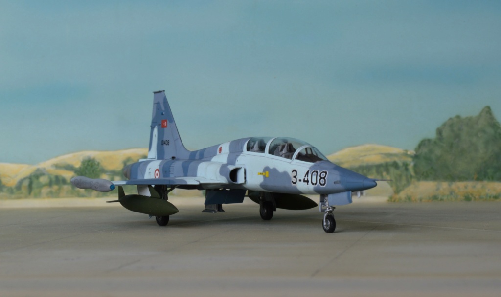[ESCI] 1/72 - Northrop F-5B Freedom Fighter  Turquie  (nf5b) Dsc_0637