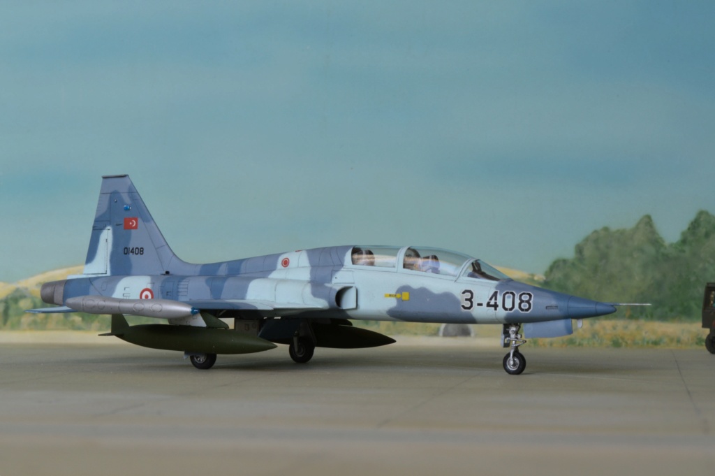 [ESCI] 1/72 - Northrop F-5B Freedom Fighter  Turquie  (nf5b) Dsc_0638