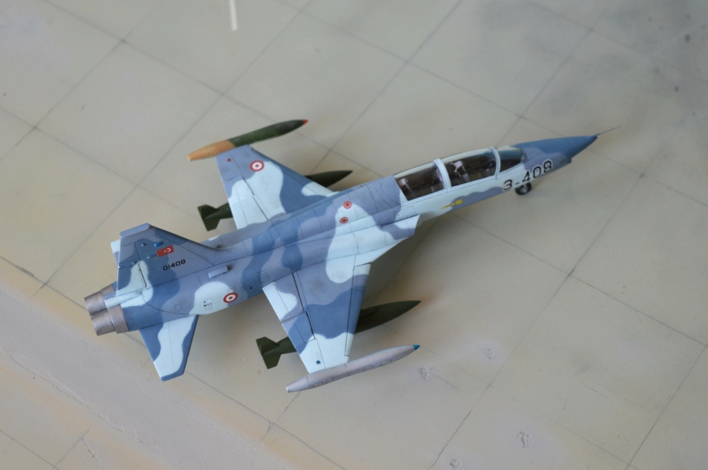 [ESCI] 1/72 - Northrop F-5B Freedom Fighter  Turquie  (nf5b) Dsc_0642