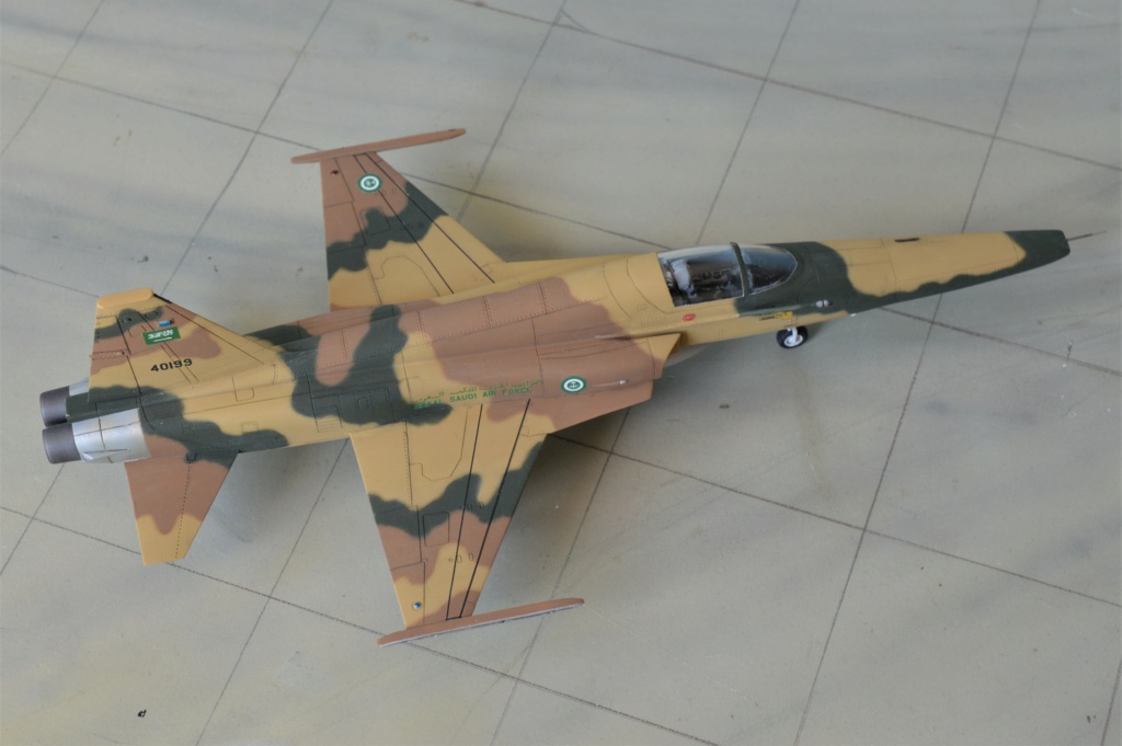  [DreamModel + Airfix] Northrop RF-5E Tigereye  Saudi Arabia 1/72 Dsc_0753