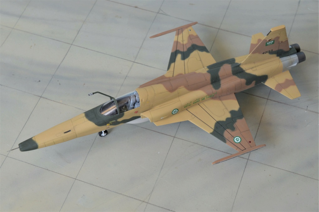  [DreamModel + Airfix] Northrop RF-5E Tigereye  Saudi Arabia 1/72 Dsc_0754