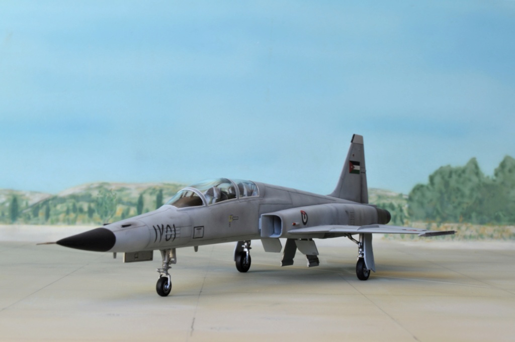 [Hobby Boss + Italeri] Northrop F-5E Tiger II  Jordanie 1/72 Dsc_0758