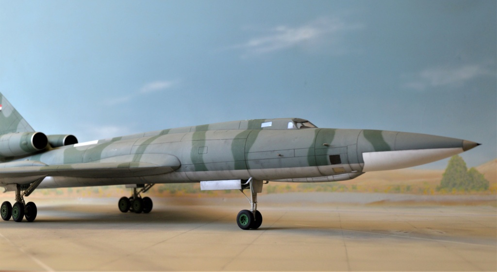 [Italeri (Esci)] 1/72 - Tupolev Tu-22 Blinder Irak   Dsc_0766