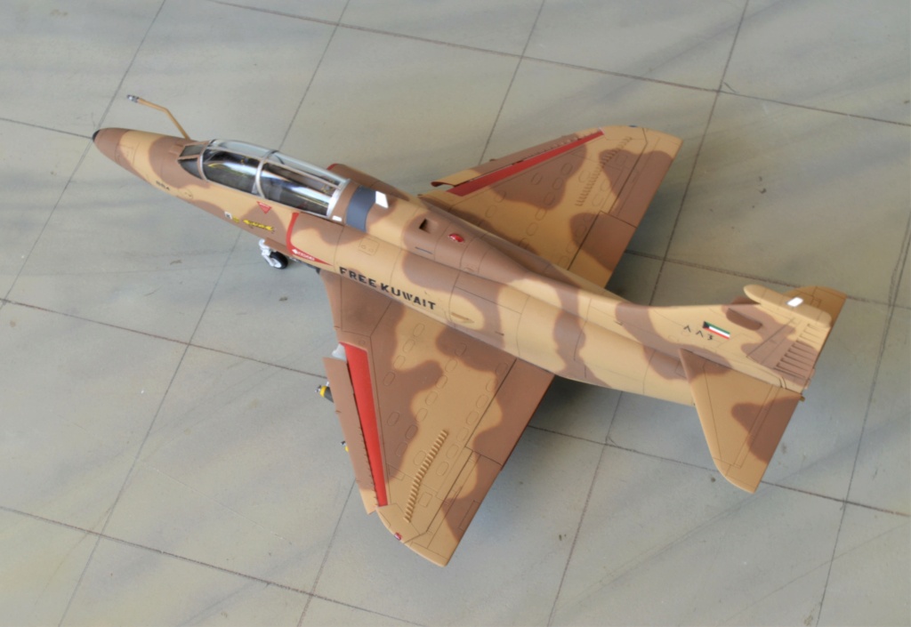  [Fujimi] Douglas TA-4K  Skyhawk  Koweït 1/72 Dsc_0782