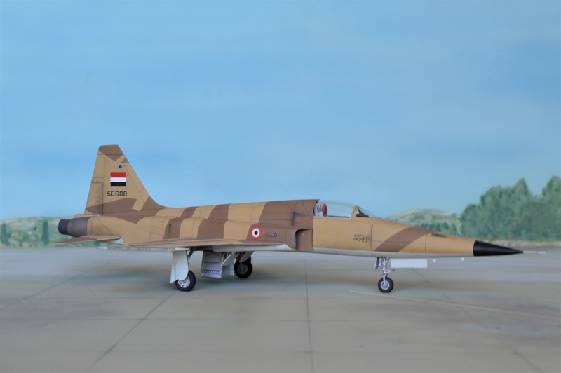 [Hobby Boss + Italeri] Northrop F-5E Tiger II Yemen 1/72  (nf5e) Dsc_0816