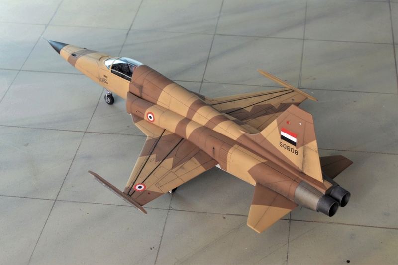 [Hobby Boss + Italeri] Northrop F-5E Tiger II Yemen 1/72  (nf5e) Dsc_0818