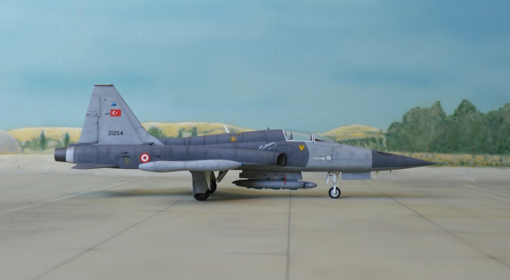 [ESCI]  1/72 - Northrop F-5A Freedom Fighter - Turkey   (nf5a) Dsc_1205