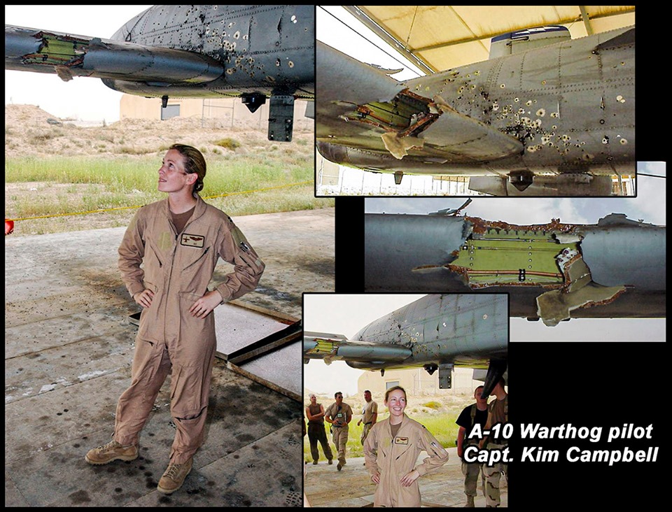  A-10A Warthog  USAF  Italeri 1/72 Kim-ca10