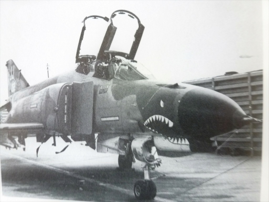 F 4E Phantom II USAF, Viet-Nam 1972  Finemolds  1/72 P1190313
