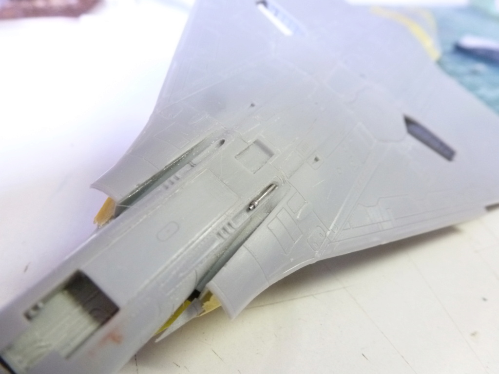 [Modelsvit] 1/72 - Dassault Mirage 2000EM   P1210314