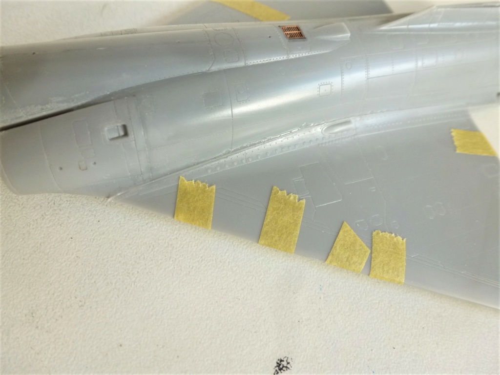 [Modelsvit] 1/72 - Dassault Mirage 2000EM   P1210322