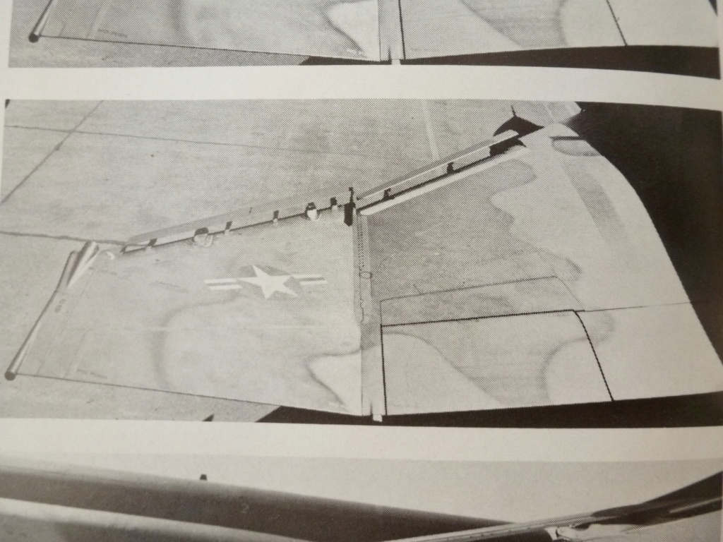 [Hasegawa] 1/72 - McDonnell-Douglas F-4E Phantom II "Pharaoh"  P1230719