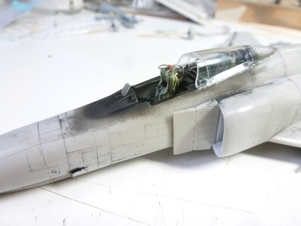 [Hasegawa] 1/72 - McDonnell-Douglas F-4E Phantom II "Pharaoh"  P1230723