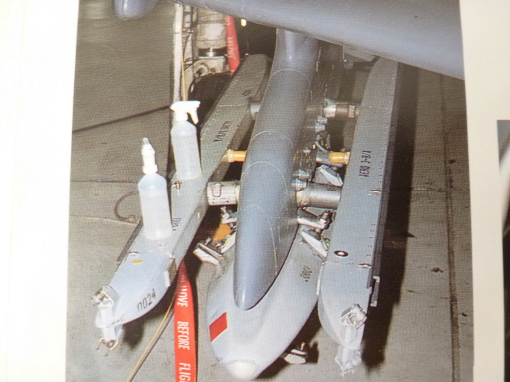[Hasegawa] 1/72 - McDonnell-Douglas F-4E Phantom II "Pharaoh"  P1230725