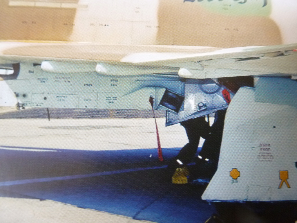 [Hasegawa] 1/72 - McDonnell-Douglas F-4E Phantom II "Pharaoh"  P1230727