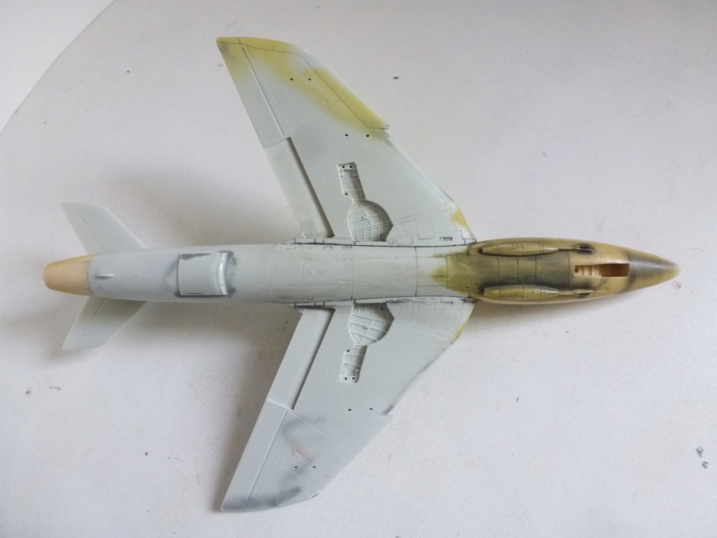 [Revell + PJ Production] 1/72 - Hawker Hunter T.79  Qatar   P1230934
