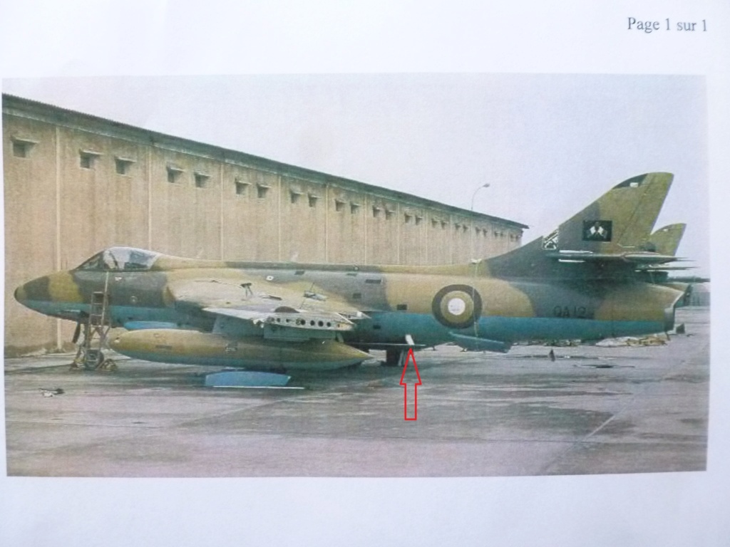 [Revell + PJ Production] 1/72 - Hawker Hunter T.79  Qatar   P1230938