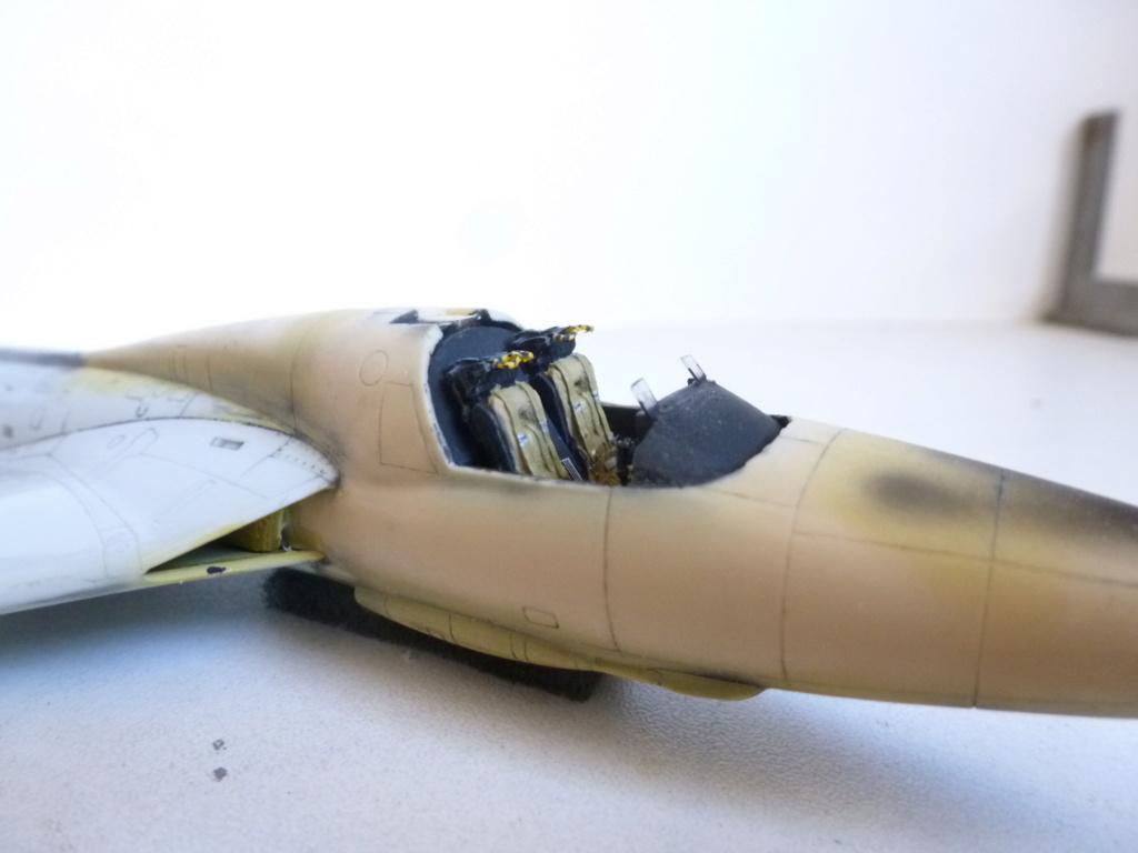 [Revell + PJ Production] 1/72 - Hawker Hunter T.79  Qatar   P1240010