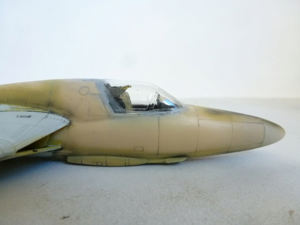 [Revell + PJ Production] 1/72 - Hawker Hunter T.79  Qatar   P1240012