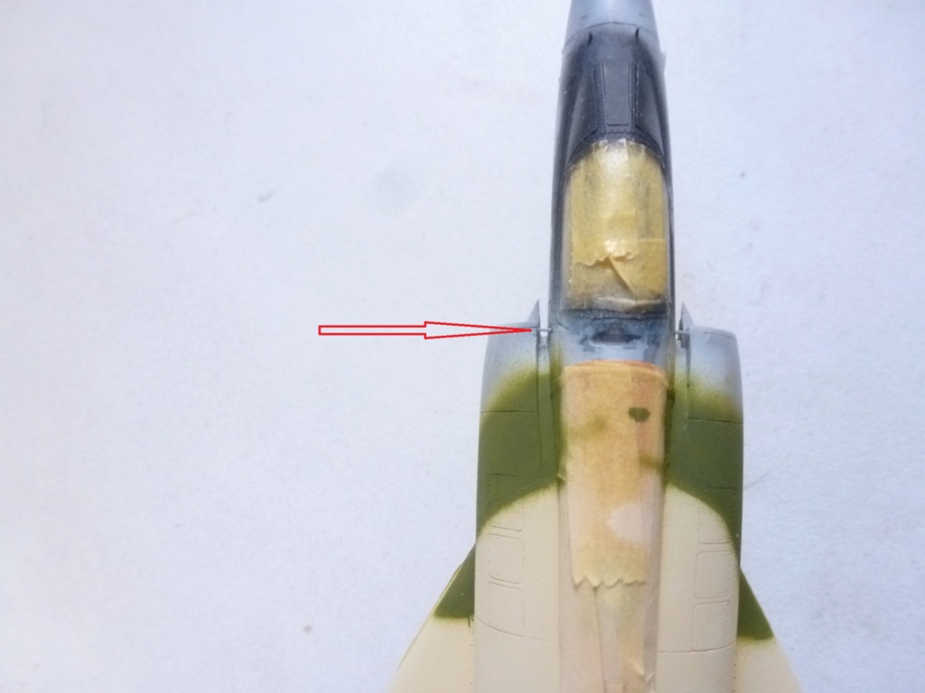 [Modelsvit] 1/72 - Dassault Mirage 5SDE Horus Egypte   - Page 2 P1240916