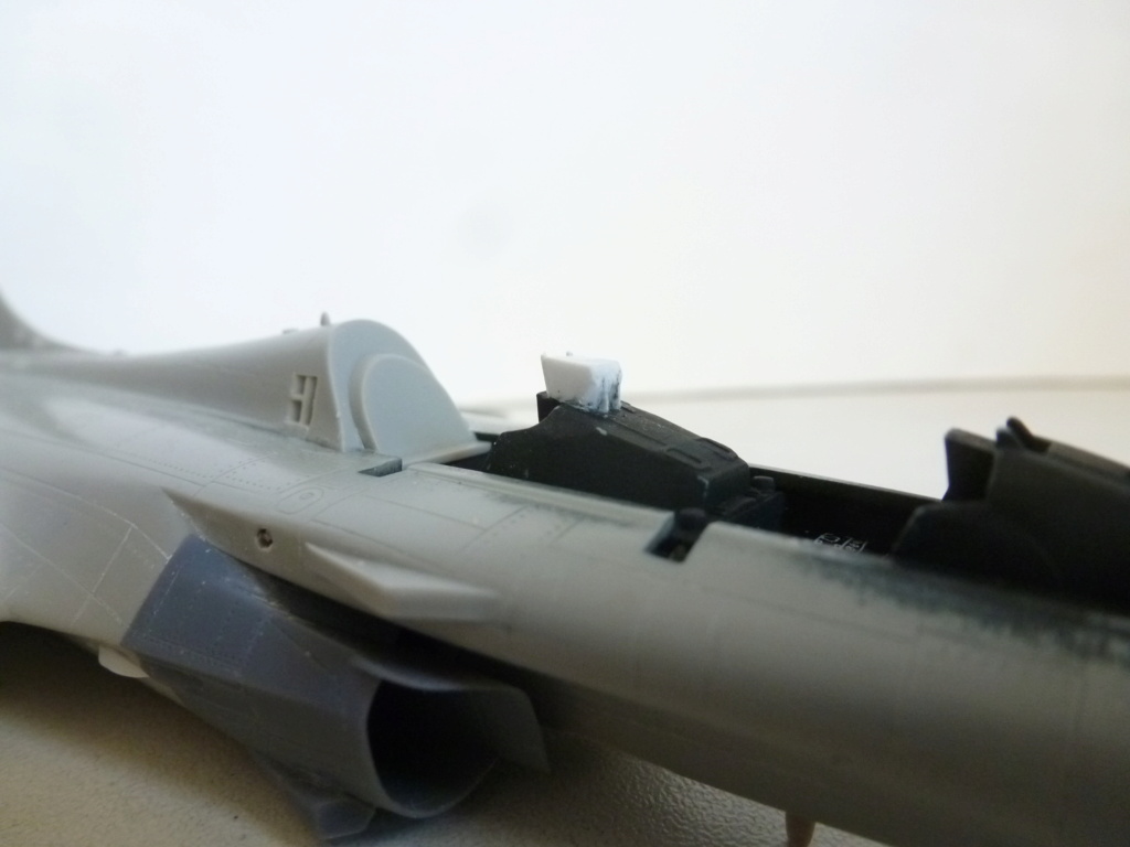 [Hobby Boss] 1/72 - Dassault Rafale B (Egypte)   P1250929