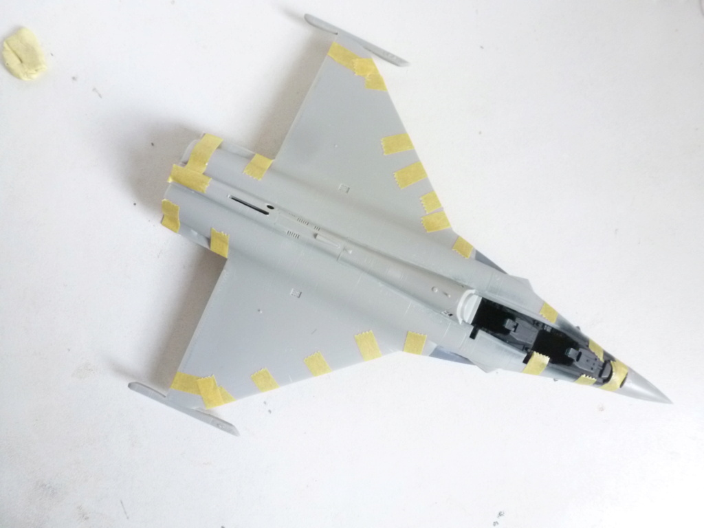 [Hobby Boss] 1/72 - Dassault Rafale B (Egypte)   P1250933