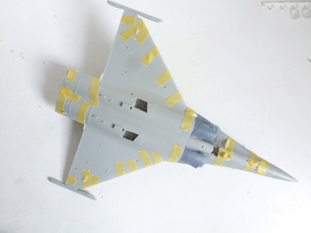 [Hobby Boss] 1/72 - Dassault Rafale B (Egypte)   P1250934