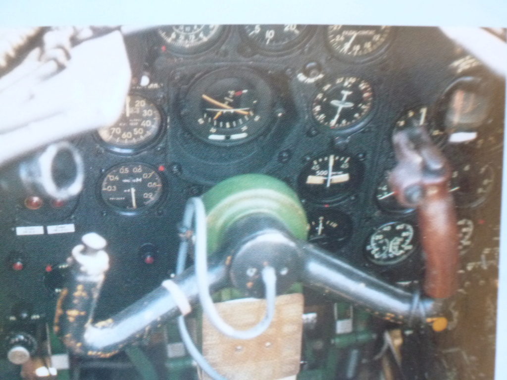 [Trumpeter] 1/72 - Iliouchine Il-28 "Beagle"  Egypte   (il28) P1260622