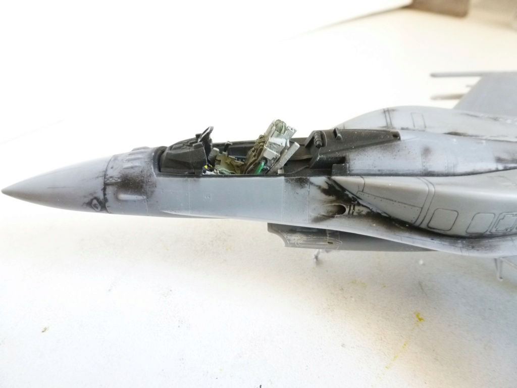 F16C Fighting Falcon Block 50 Oman  [Tamiya] 1/72 P1270360