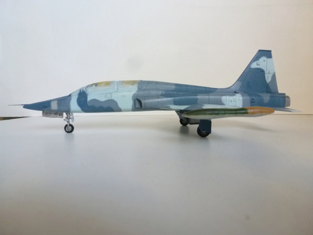 [ESCI] 1/72 - Northrop F-5B Freedom Fighter  Turquie  (nf5b) P1280015