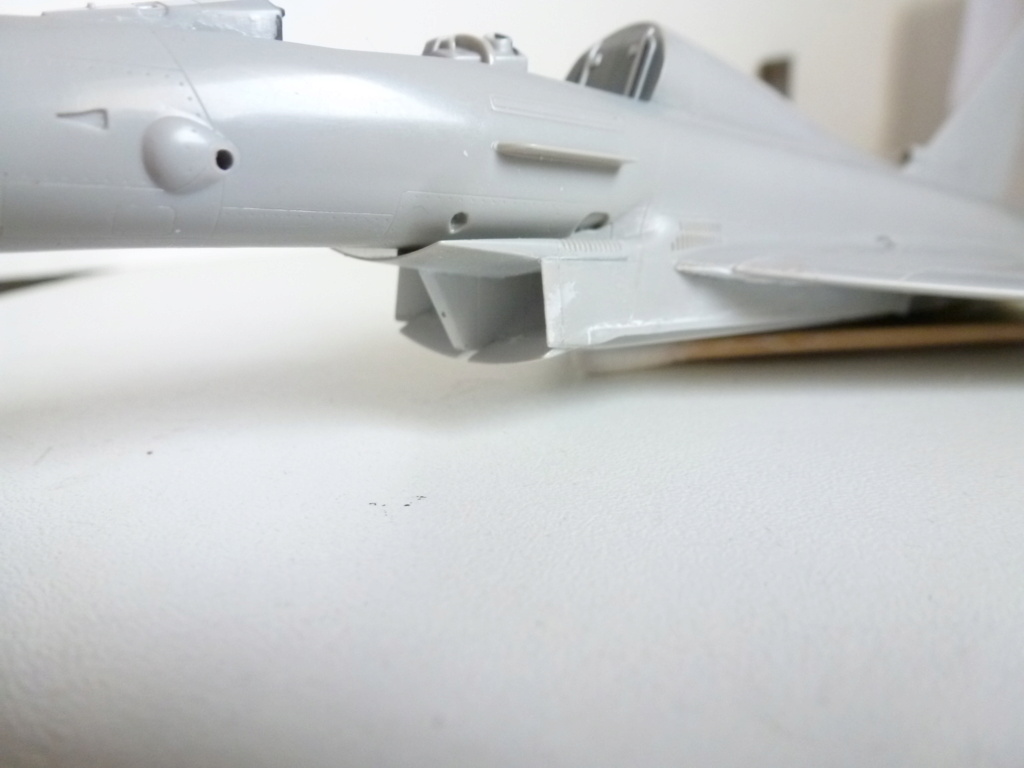  [Hasegawa] 1/72 - Eurofighter Typhoon Two Seater (Sultanat Oman)  P1280616