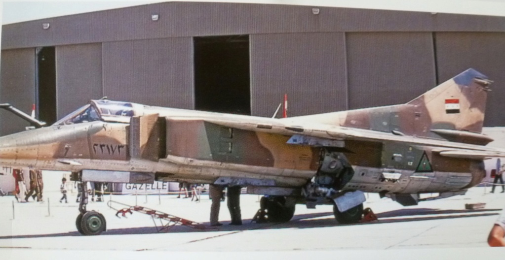 [KP] 1/72 - Mikoyan-Gourevitch Mig-23 Flogger BN  Irak   P1280946