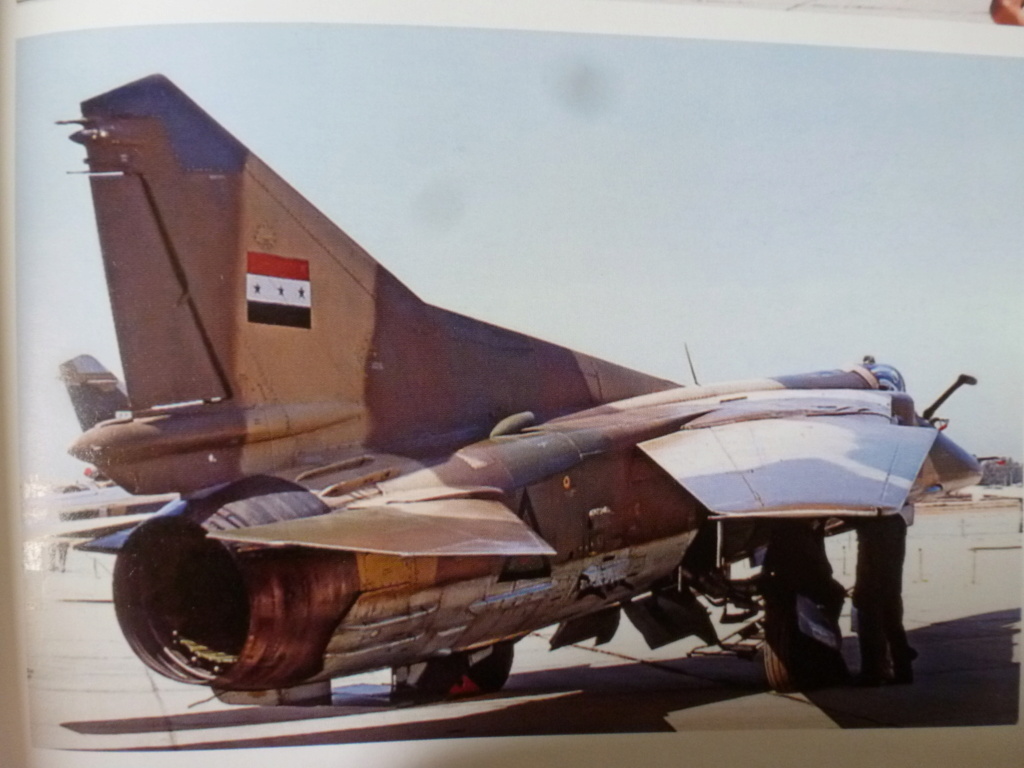 [KP] 1/72 - Mikoyan-Gourevitch Mig-23 Flogger BN  Irak   P1280947