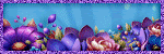 Forums