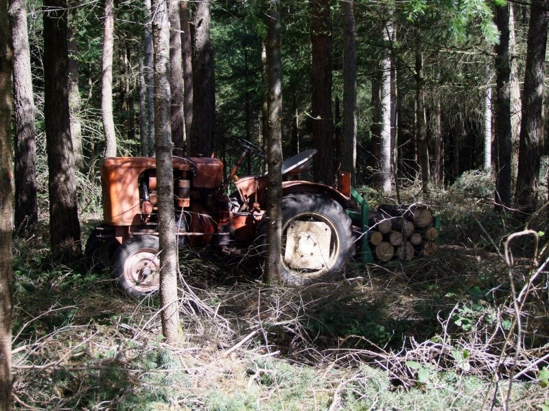 L'exploitation forestière moderne Porteu12