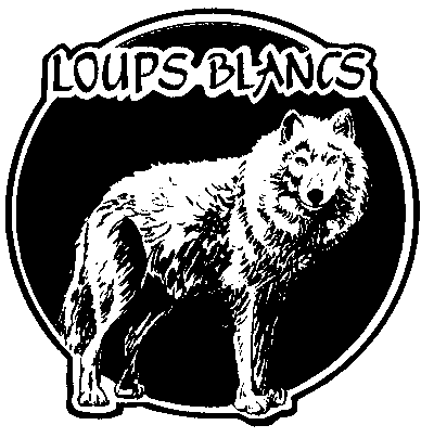 Forum Des Loups Blancs