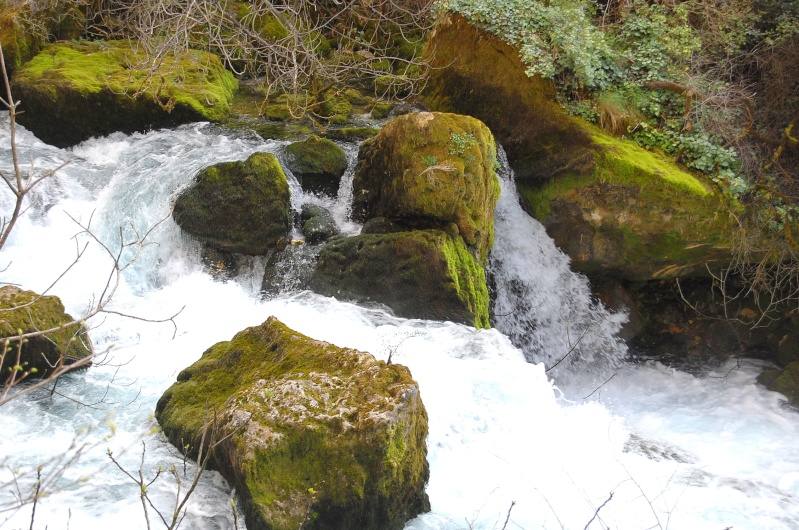 La fontaine du vaucluse Calais29