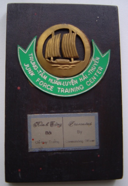 Junk Force Badge Divers10