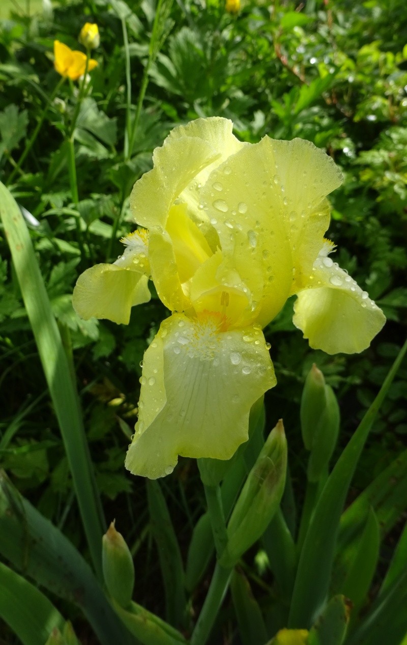 Nouvelle sur le forum ! Dsc02323