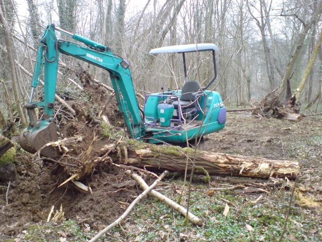 balade dans les bois Dsc00314